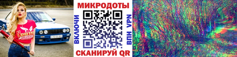 Псилоцибиновые грибы мицелий где продают наркотики Бежецк